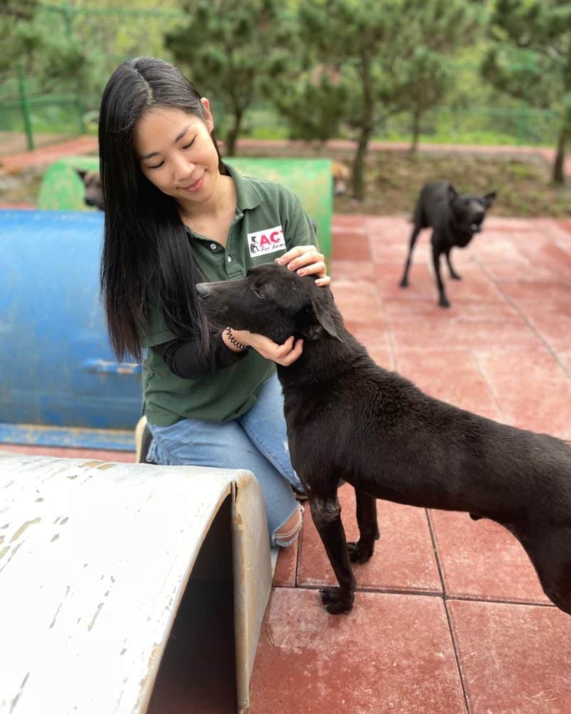 Judy Hsu, co-founder of StrayKind, with a rescued dog at one of the sanctuaries