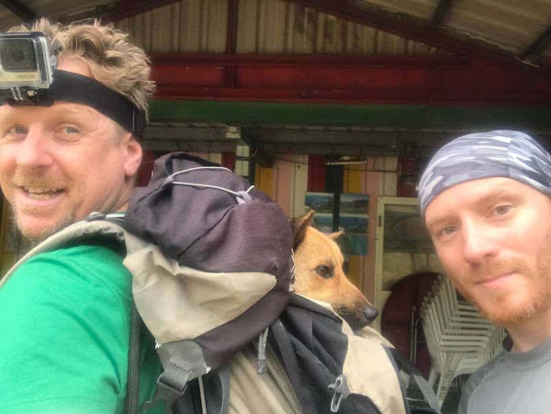 Sandy, a rescued stray dog, being carried out of the mountains of northern Taiwan in a backpack by StrayKind founder Sean McCormack