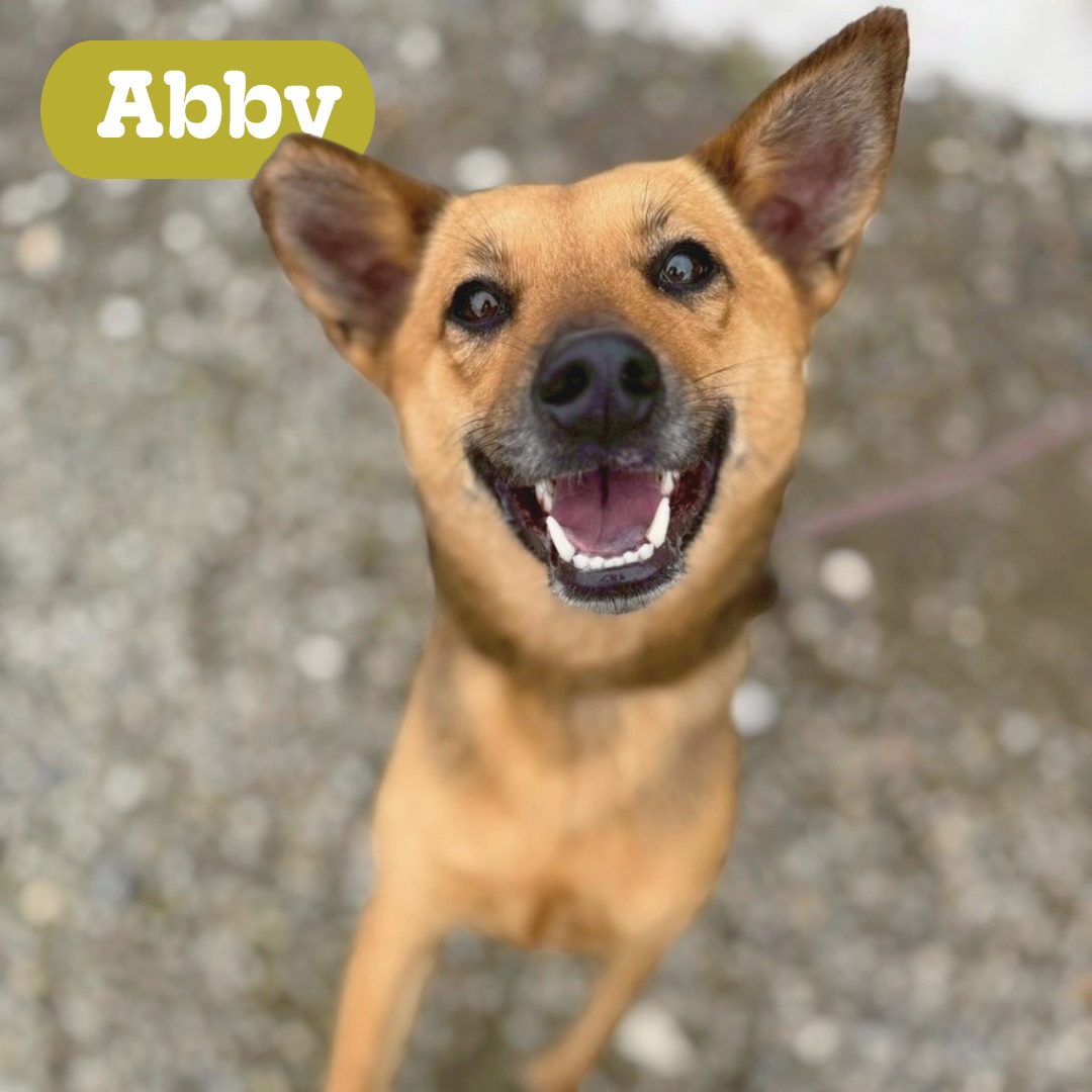 Abby