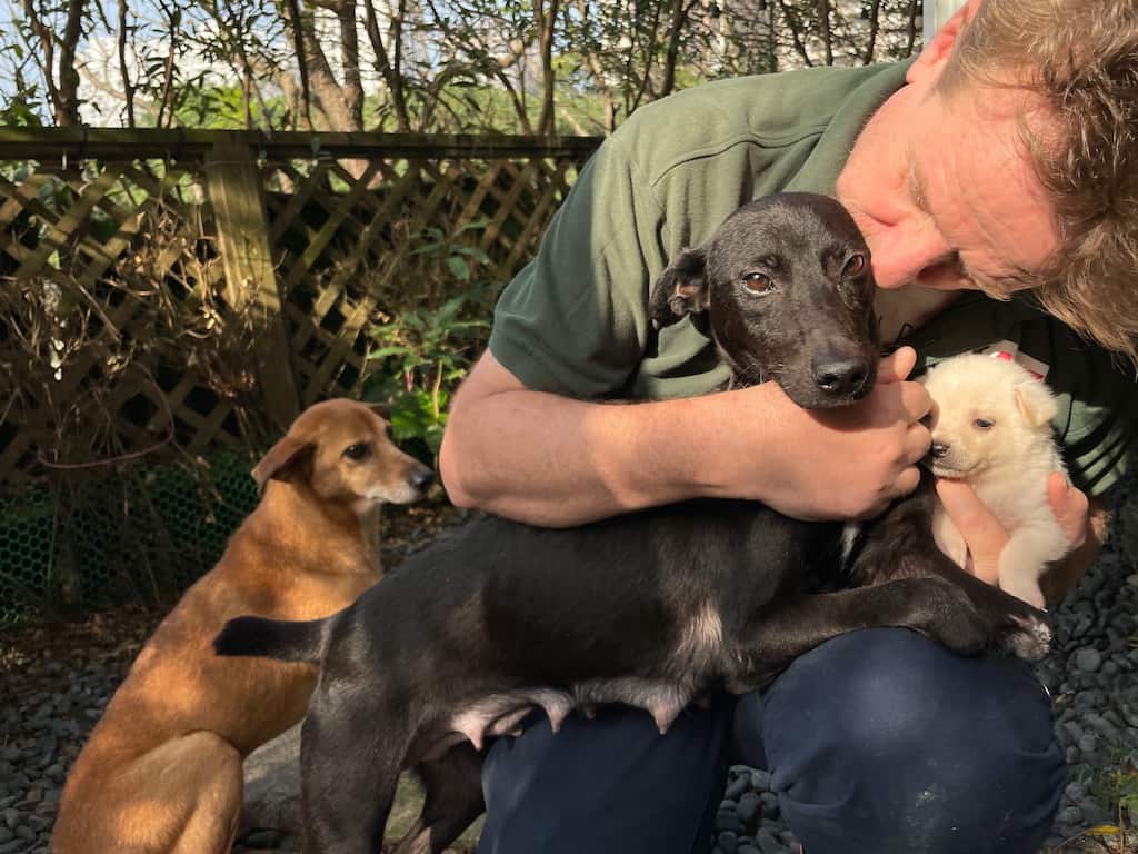 Mary, a rescued mother dog with no front feet, with her puppies